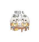 子供トイプードル（幼稚園、保育園向け）（個別スタンプ：12）