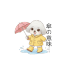 子供トイプードル（幼稚園、保育園向け）（個別スタンプ：13）