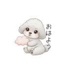 子供トイプードル（幼稚園、保育園向け）（個別スタンプ：17）