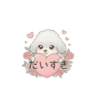 子供トイプードル（幼稚園、保育園向け）（個別スタンプ：22）