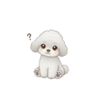 子供トイプードル（幼稚園、保育園向け）（個別スタンプ：23）