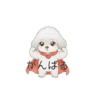子供トイプードル（幼稚園、保育園向け）（個別スタンプ：25）