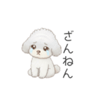 子供トイプードル（幼稚園、保育園向け）（個別スタンプ：29）