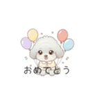 子供トイプードル（幼稚園、保育園向け）（個別スタンプ：31）