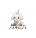 子供トイプードル（幼稚園、保育園向け）（個別スタンプ：32）