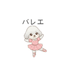 子供トイプードル（幼稚園、保育園向け）（個別スタンプ：33）