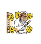 コーギー犬*ハニさん*ちょっぴりシュール編（個別スタンプ：3）
