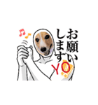 コーギー犬*ハニさん*ちょっぴりシュール編（個別スタンプ：4）