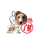 コーギー犬*ハニさん*ちょっぴりシュール編（個別スタンプ：5）