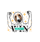 コーギー犬*ハニさん*ちょっぴりシュール編（個別スタンプ：6）