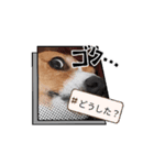 コーギー犬*ハニさん*ちょっぴりシュール編（個別スタンプ：8）
