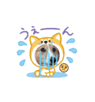 コーギー犬*ハニさん*ちょっぴりシュール編（個別スタンプ：15）