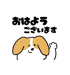 ゆるいビーグル（個別スタンプ：5）