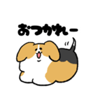 ゆるいビーグル（個別スタンプ：6）