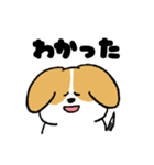 ゆるいビーグル（個別スタンプ：7）