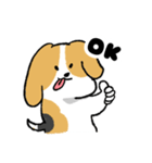 ゆるいビーグル（個別スタンプ：8）