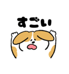 ゆるいビーグル（個別スタンプ：10）