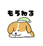 ゆるいビーグル（個別スタンプ：17）