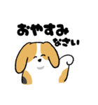 ゆるいビーグル（個別スタンプ：18）