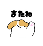 ゆるいビーグル（個別スタンプ：20）