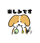 ゆるいビーグル（個別スタンプ：21）