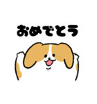 ゆるいビーグル（個別スタンプ：23）