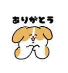 ゆるいビーグル（個別スタンプ：24）