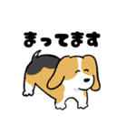 ゆるいビーグル（個別スタンプ：25）