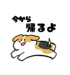 ゆるいビーグル（個別スタンプ：27）