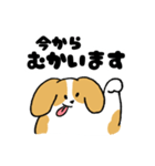 ゆるいビーグル（個別スタンプ：28）