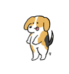 ゆるいビーグル（個別スタンプ：31）