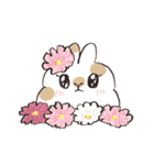 ほんわか秋のうさぎ日和（個別スタンプ：33）