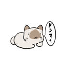ムース出動！（個別スタンプ：16）