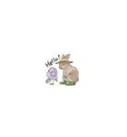 うさぎさんちのポタジェ（個別スタンプ：4）