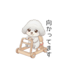赤ちゃんトイプードル（使いやすい敬語）（個別スタンプ：6）