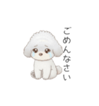 赤ちゃんトイプードル（使いやすい敬語）（個別スタンプ：8）