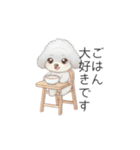 赤ちゃんトイプードル（使いやすい敬語）（個別スタンプ：15）