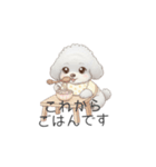 赤ちゃんトイプードル（使いやすい敬語）（個別スタンプ：17）