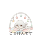 赤ちゃんトイプードル（使いやすい敬語）（個別スタンプ：25）
