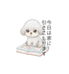 赤ちゃんトイプードル（使いやすい敬語）（個別スタンプ：29）