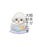 赤ちゃんトイプードル（使いやすい敬語）（個別スタンプ：33）