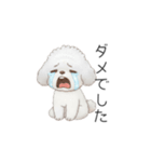 赤ちゃんトイプードル（使いやすい敬語）（個別スタンプ：38）