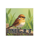 ぽっちゃりいした小鳥（個別スタンプ：31）