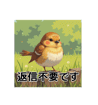 ぽっちゃりいした小鳥（個別スタンプ：34）