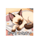 ペットの可愛いシャムネコ（個別スタンプ：6）