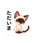 ペットの可愛いシャムネコ（個別スタンプ：9）