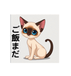 ペットの可愛いシャムネコ（個別スタンプ：10）
