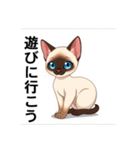 ペットの可愛いシャムネコ（個別スタンプ：11）
