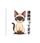 ペットの可愛いシャムネコ（個別スタンプ：12）