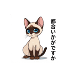 ペットの可愛いシャムネコ（個別スタンプ：13）